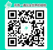 形色app，精準辨別花卉識別植物(圖1)