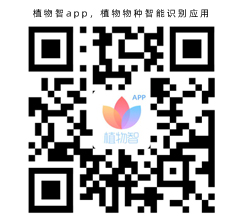 植物智app，植物物種智能識(shí)別應(yīng)用(圖1)