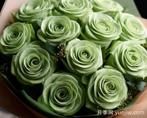 蘇格蘭復(fù)古綠玫瑰，綠色魅力的神秘詮釋(圖1)