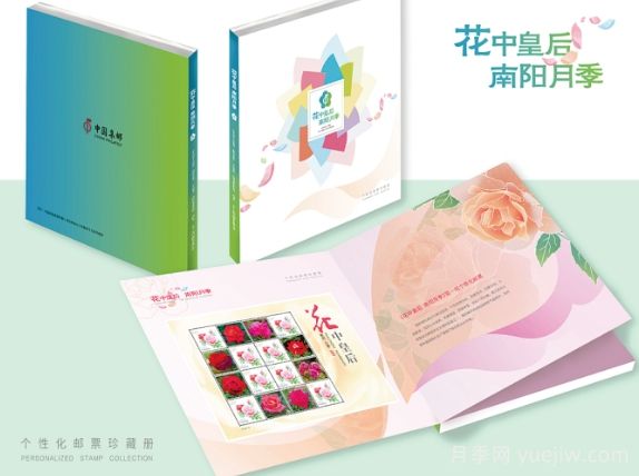 “國(guó)家名片”上綻放南陽(yáng)月季(圖1)