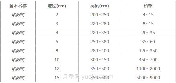 常用地徑4公分、5公分、10公分紫薇樹價(jià)格表(圖1)