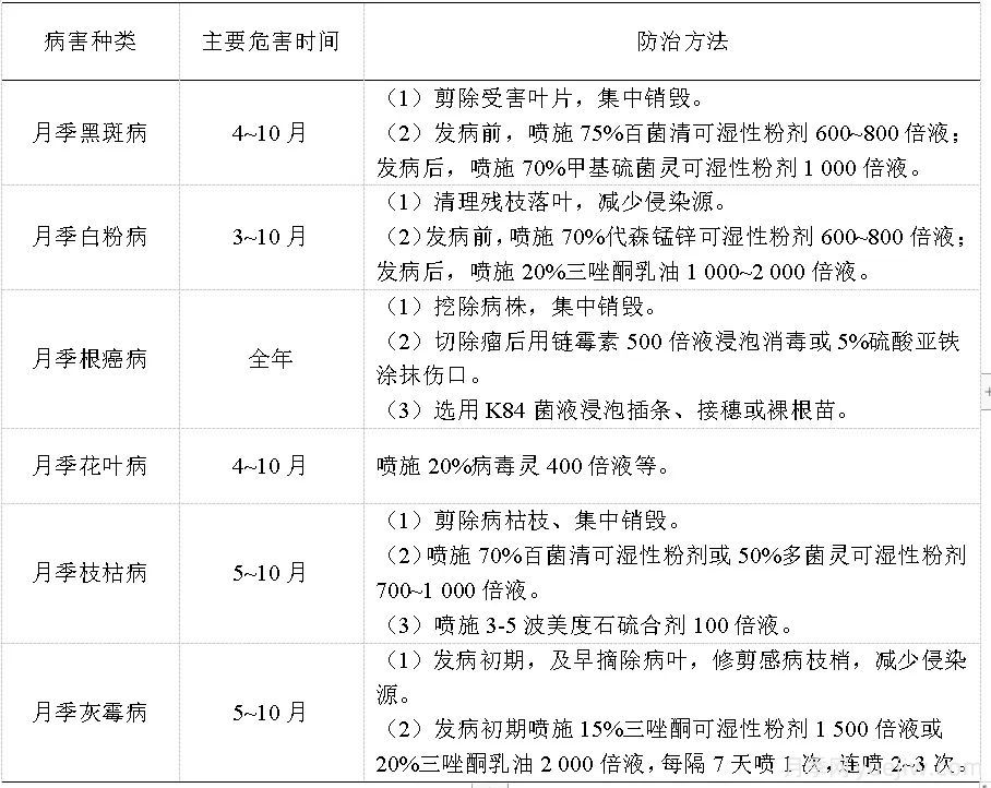 石家莊月季栽培養(yǎng)護(hù)技術(shù)規(guī)程(圖5)