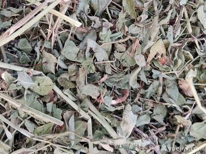 2024年南陽(yáng)優(yōu)質(zhì)花生秧草粉開(kāi)始供應(yīng)(圖1)