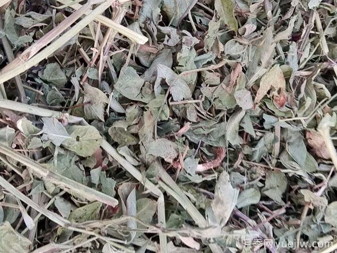 2024年南陽(yáng)優(yōu)質(zhì)花生秧草粉開(kāi)始供應(yīng)(圖2)