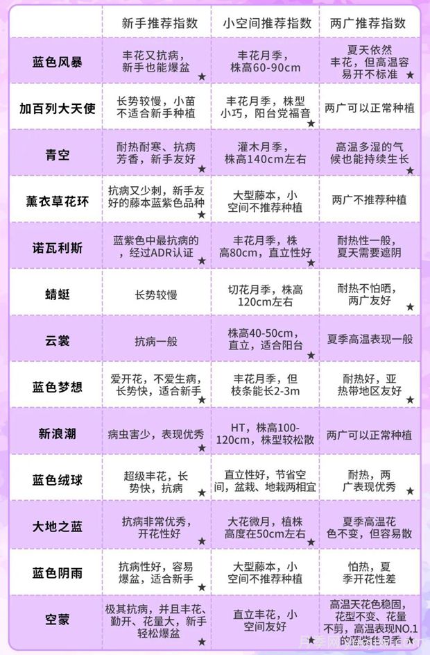 令人無(wú)法抗拒的藍(lán)色月季品種合集(圖9)