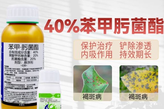 月季打藥怎么配？稀釋很難嗎？(圖1)