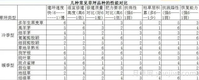 草坪品種及性能對比，收藏學(xué)習(xí)(圖2)