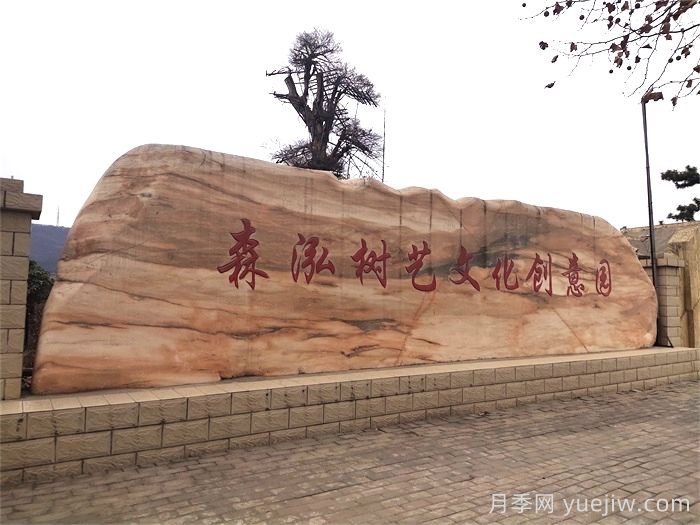 大型景觀石常見的幾種類型(圖1)