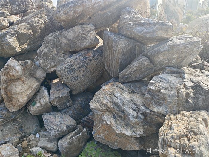 園林常用的十大景觀石種類(圖2)