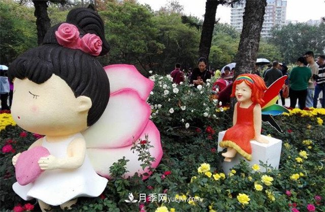 好多年沒到深圳人民公園看月季花展了，不知今年如何(圖4)