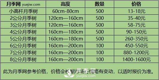 3-4公分月季樹報(bào)價(jià)，3-4公分高桿月季報(bào)價(jià)！(圖3)