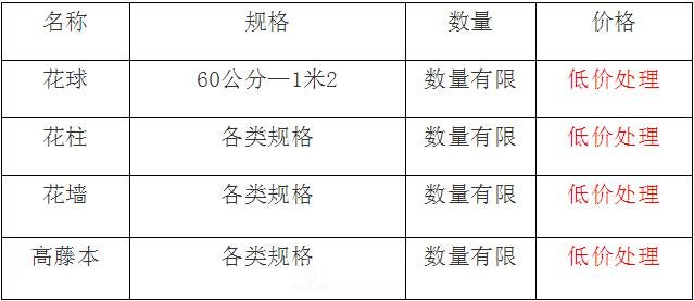 清地在即，部分造型月季品類月季價格短時間走低(圖1)