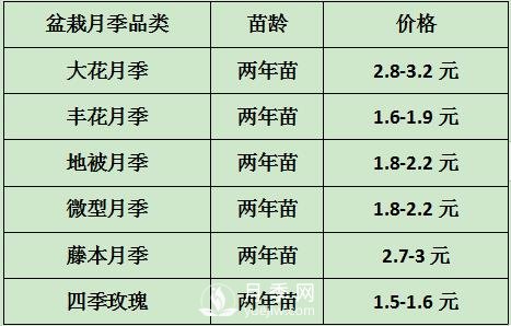 2021年春季盆栽月季市場(chǎng)報(bào)價(jià) 盆花月季多少錢一棵？(圖1)