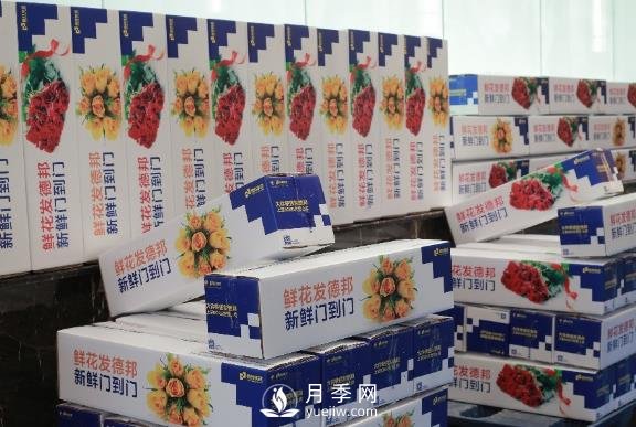 情人節(jié)春節(jié)相遇，德邦快遞＂春節(jié)不休＂滿足鮮花運(yùn)輸旺盛需求(圖1)