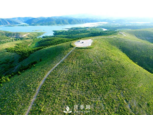 河南石漠化土地集中在南陽，淅川石漠化面積占南陽85%(圖1)
