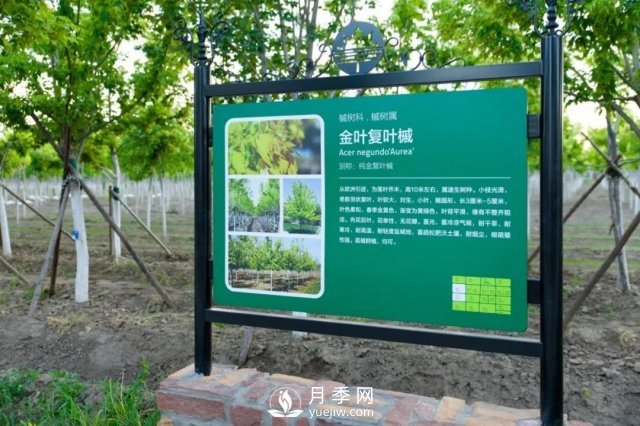 28項行業(yè)標(biāo)準(zhǔn)，198項地方標(biāo)準(zhǔn)，助推北京園林綠化高質(zhì)量發(fā)展(圖4)