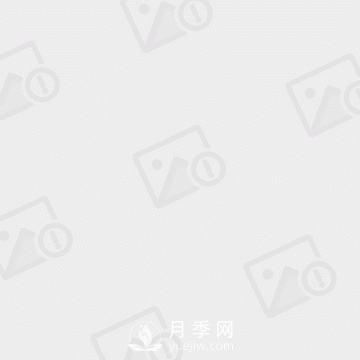 大葉女貞和小葉女貞到底有哪些區(qū)別呢？就葉子不同？(圖1)