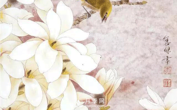怎樣畫白玉蘭工筆畫，白玉蘭工筆畫詳細(xì)步驟(圖1)