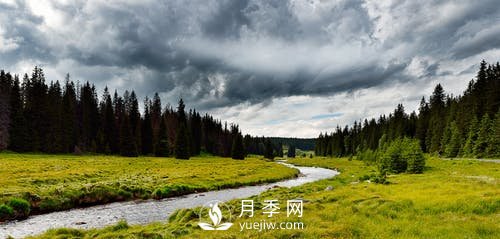 北京確保新一輪百萬(wàn)畝造林明年完成(圖1)