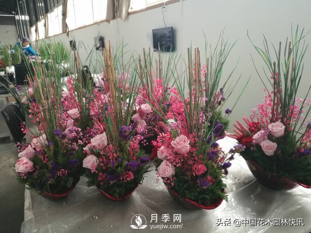 云南省苗協(xié)聯(lián)手專家把脈云南苗木產(chǎn)業(yè)(圖3)
