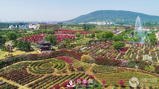 解讀南陽(yáng)三水三山，助力綠色生態(tài)發(fā)展(圖2)
