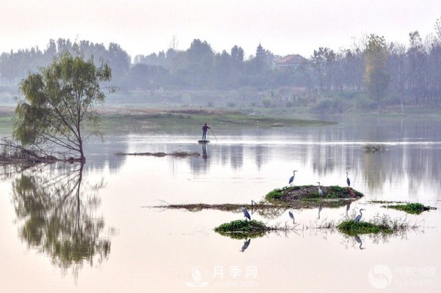 解讀南陽(yáng)三水三山，助力綠色生態(tài)發(fā)展(圖5)