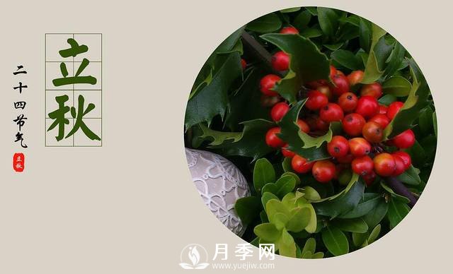 苗木人你知道苗木需要做什么養(yǎng)護(hù)嗎？(圖1)