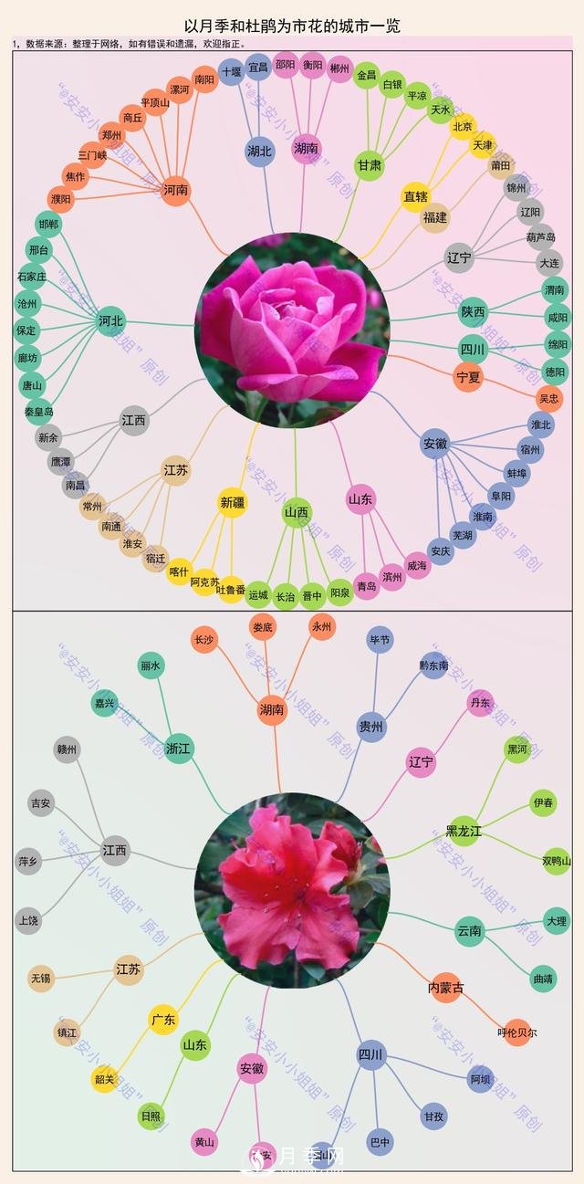 市樹市花地圖：月季、杜鵑、香樟、國槐(圖1)