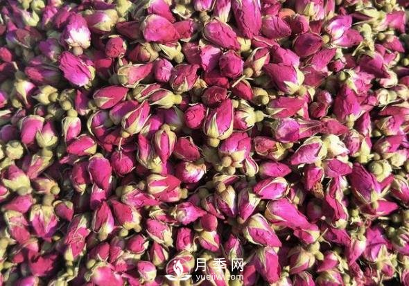贈(zèng)人玫瑰，手有余香，怎么看待平陰玫瑰(圖1)