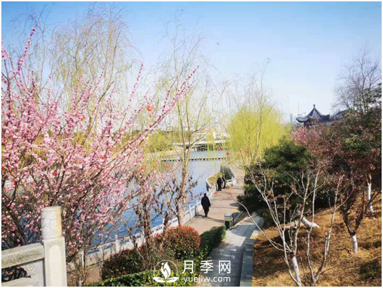 南陽(yáng)驚蟄時(shí)節(jié)，花紅柳綠又一春(圖3)