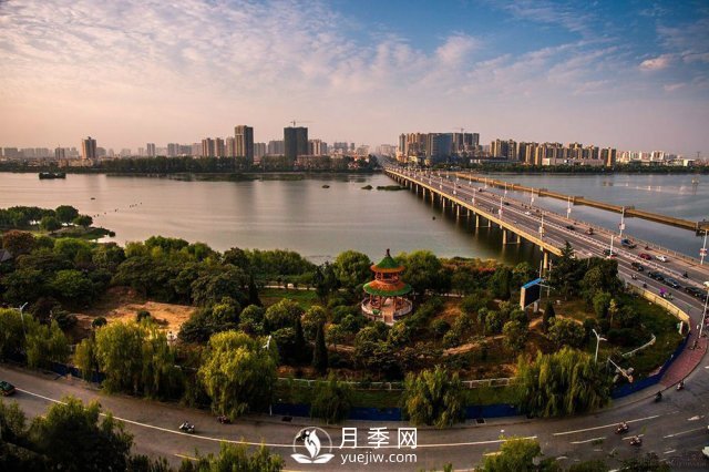 南陽50強(qiáng)企業(yè)名單：牧原食品第2，仲景宛西第8(圖1)