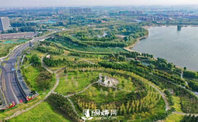 3.13萬畝！2021年鄭州綠化目之所及皆是綠(圖1)