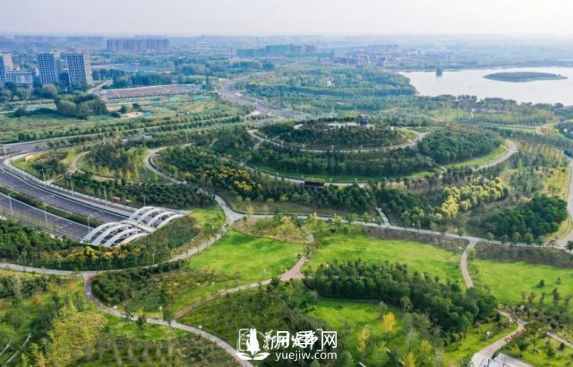 3.13萬畝！2021年鄭州綠化目之所及皆是綠(圖3)
