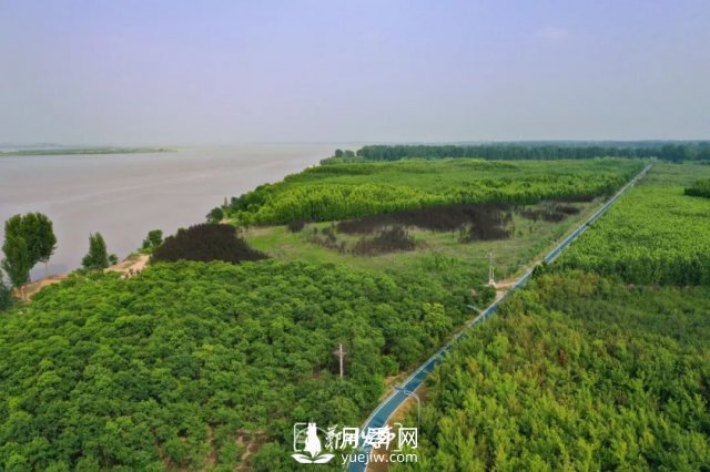 3.13萬畝！2021年鄭州綠化目之所及皆是綠(圖4)