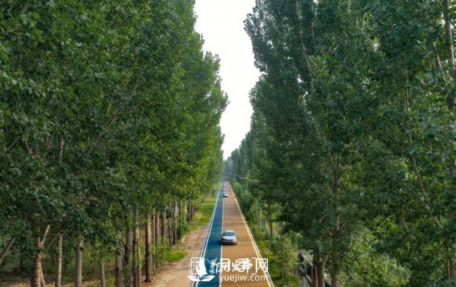 3.13萬畝！2021年鄭州綠化目之所及皆是綠(圖2)