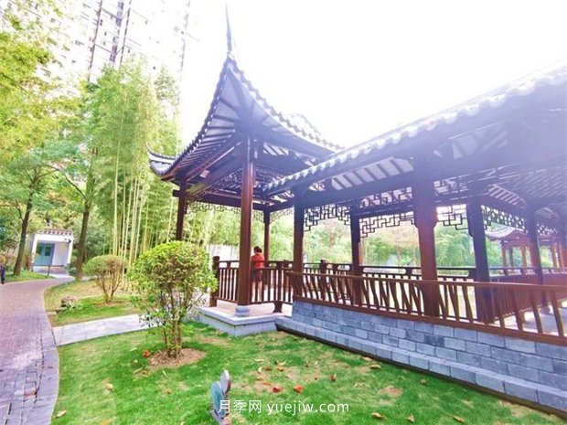 福州茶亭公園月季花開，芬芳美爆！(圖10)