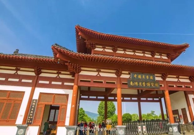 中國月季園千畝月季花開，南陽月季人間仙境打卡圣地(圖2)