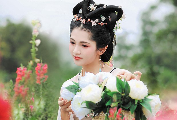 中國月季園千畝月季花開，南陽月季人間仙境打卡圣地(圖5)