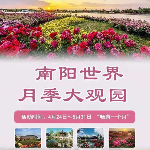 第十二屆南陽(yáng)月季花會(huì)4月29日開(kāi)幕，活動(dòng)豐富多彩(圖1)