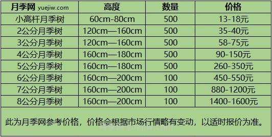 1-10公分月季樹價(jià)格是多少？樹狀月季5月報(bào)價(jià)單！(圖1)