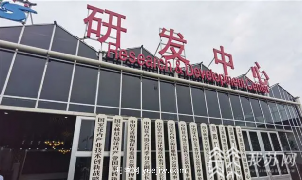 江蘇宿遷快繁科技培育月季 帶領村民致富奔小康(圖2)