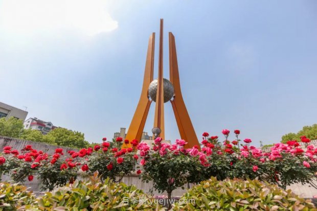 四月盛放的月季時間，湖北宜昌給你的專屬浪漫花園(圖3)