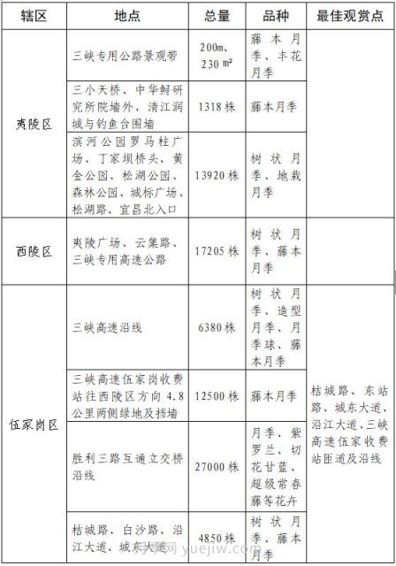 四月盛放的月季時間，湖北宜昌給你的專屬浪漫花園(圖9)
