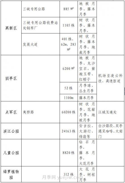 四月盛放的月季時間，湖北宜昌給你的專屬浪漫花園(圖10)