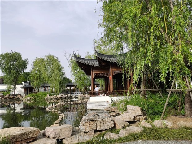 南陽世界月季大觀園規(guī)模真大，快來過把月季花癮(圖3)