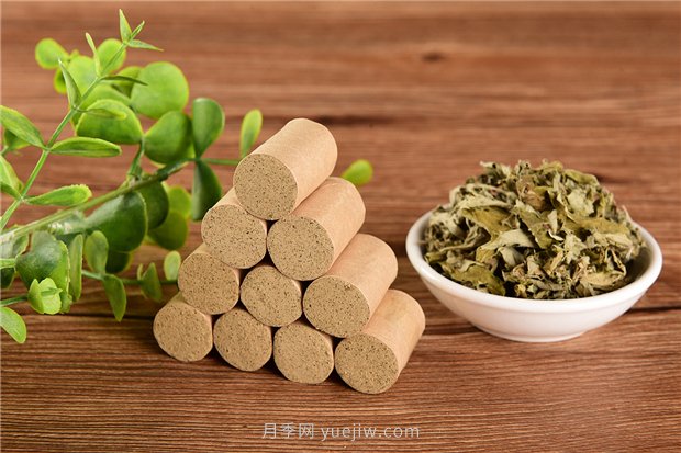 南陽宛艾產(chǎn)業(yè)協(xié)會舉辦艾草研討會，把宛艾做成中國名片(圖1)