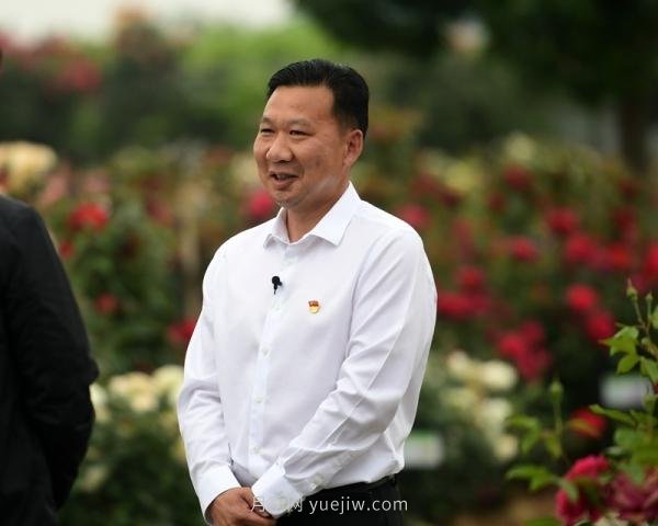 南陽月季：***向我詢問月季花球新品種(圖3)