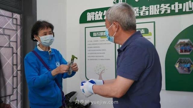 送你一枝月季，許你一束繁花，武漢百余市民領(lǐng)到月季扦插枝條(圖1)