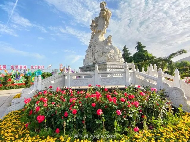 南陽月季博覽園，6月份全月免門票！(圖2)