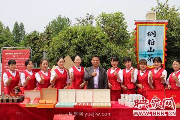南陽桐柏:茶業(yè)紅火 茶人歡笑(圖2) 南陽桐柏:茶業(yè)紅火 茶人歡笑(圖2)